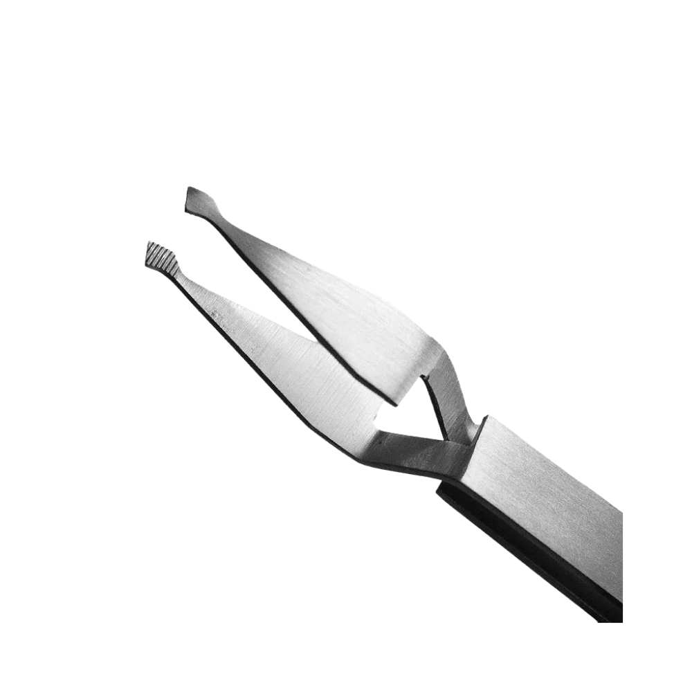 Pinza Porta Brackets Recta Union GAYZ
