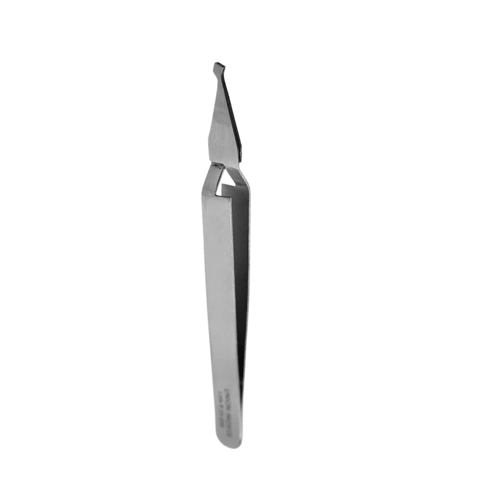 Pinza Porta Brackets Recta Union GAYZ