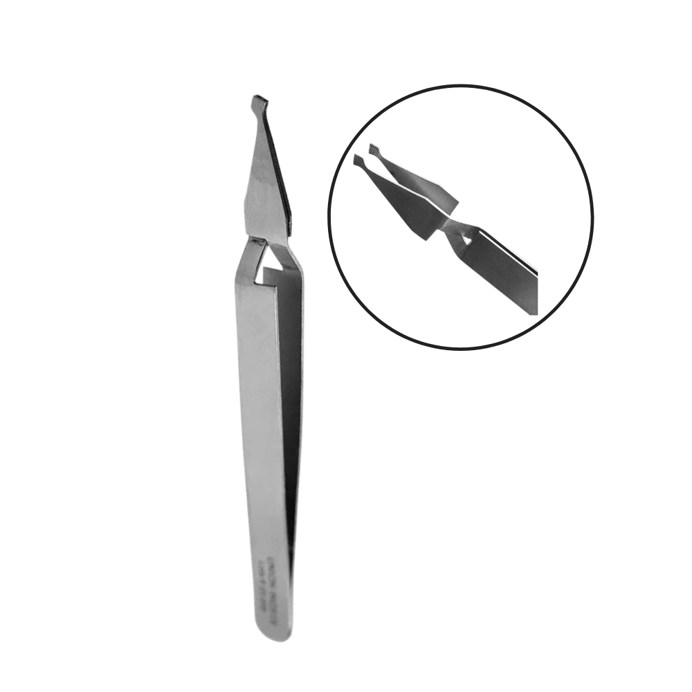 Pinza Porta Brackets Recta Union GAYZ